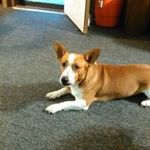 Doug Riddle - @riddle.doug - Instagram