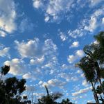 Doug Rodriguez - @drod_sf_sd - Instagram