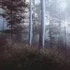 Doug Rodriguez - @user6173715308787 - TikTok