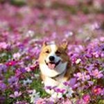 Benson Roland Doug - @bensonrolanddoug - Instagram