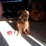 Doug Root - @root4200 - Instagram