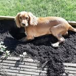 Doug Roy - @dougroy05 - Instagram
