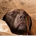 Doug Rusk - Facebook