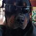 Doug Ruskey - Facebook