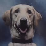 dope sniffer - @dougsabolick - Instagram