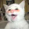 doughsack - @doughsack - TikTok