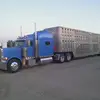 dougsage1 - @dougsage1 - TikTok