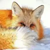 drewbrennell123 - @sagedoug - TikTok