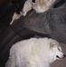 Doug Samuels - Facebook