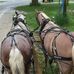 Doug Sandy Peterson - Facebook