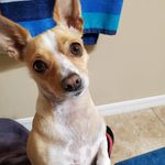 Doug Sandy South - @scoobyandwendy - Instagram