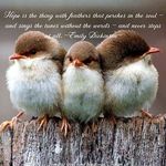 DougSandy Miller - @dougsandymiller - Instagram