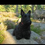 DougSandyDrake83 - @dougsandydrake83 - Instagram