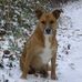 Sandy Doug - Facebook