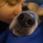 Doug Schafer - @doug.schafer.16 - Instagram