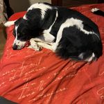 Doug schafer - @dougschafer9 - Instagram