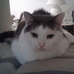 Doug Schmidt - @doug.schmidt.908132 - Instagram