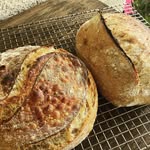 Doug Schmidt - @oldmansourdough - Instagram