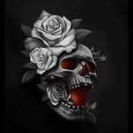 Doug Schoener - @doug.schoener - Instagram