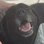 Doug Schuler - @douglas.schuler22 - Instagram