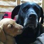 Doug Schuster - @razorback6.8_ - Instagram