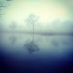 Doug Sears - @doug.sears.54 - Instagram