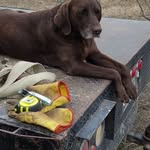 Doug Sears - @doug.sears.12 - Instagram