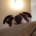 Doug Sears - @doug.sears.5 - Instagram