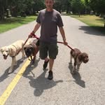 Doug Seaton - @dougiesdoggydevelopment - Instagram