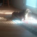 Doug Segal - @dougpanoramic - Instagram