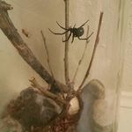 Doug Seidel - @seideldoug - Instagram
