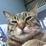 Doug Seifert - @dougieseifert - Instagram