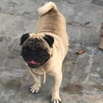 Doug Sell Sell - @dougsellsell - Instagram