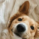 Doug Seller - @doug.seller - Instagram