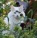 Doug Sellors - Facebook