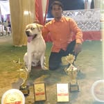 DoG seller - @seller5851 - Instagram