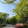 吃不胖的小悦 - @douglassettle622fce - TikTok