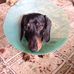 Doug Sewell - Facebook