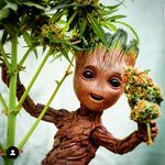 Doug Sexton - @doug.sexton.33 - Instagram