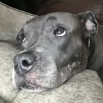 Doug Sexton - Facebook