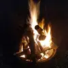 Doug Shaffer202 - @user760609206650 - TikTok