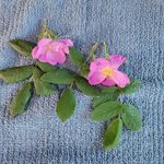 Doug Shaver - @doug.shaver.3 - Instagram