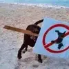 douglasshaver102 - @douglasshaver102 - TikTok