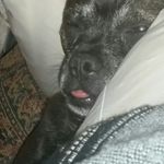 Doug Sheffield - @doug.sheffield - Instagram
