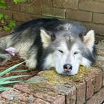 Doug Shellhorn - @dougshellhorn - Instagram