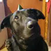 Doug and Sherry Good - @darbylee11 - TikTok
