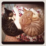 sherry_doug - @sherry_doug - Instagram