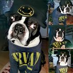 Doug Shields - @doug.theboston - Instagram