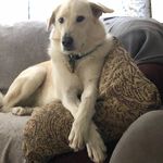 Doug Shilling - @odinheathen - Instagram
