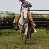 Doug Shipman339 - @dougshipman339 - TikTok